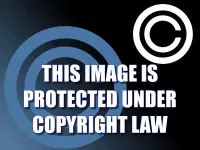 copyright law