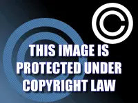 copyright law