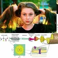 Serie di immagini che mostrano i capelli e via via entrano nei particolari della struttura molecolare