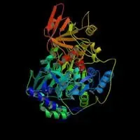 cristallografia dell'enzima aconitasi