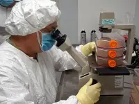 ricerca per la produzione di vaccini virali