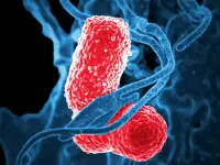 K.pneumoniae fotografata almicroscopio elettronico e circondata da un globulo bianco
